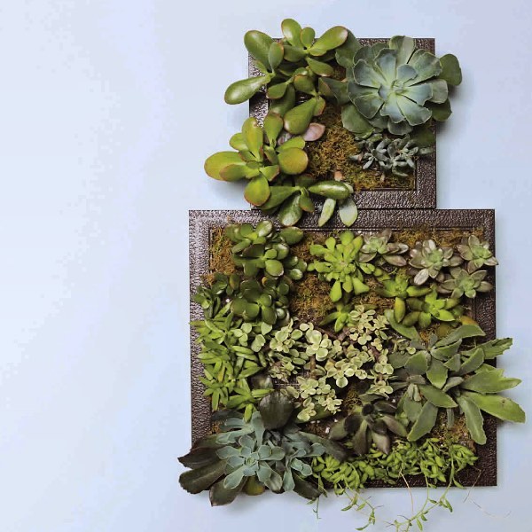 This succulent garden! Link in bio! (Don’t forget to enter at www.arrowfastener.com/10-weeks-of-awesome for the chance to win the tool used in this project!)