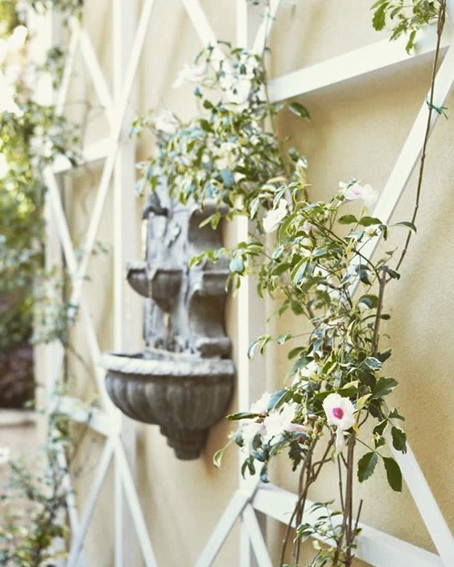 Make your outdoor space beautiful by building a criss-cross wall trellis with wood, a drill and Arrow’s T50AC Professional Electric Staple Gun & Nailer. Click the link in our bio for the full tutorial from @CentsationalStyle! .
.
.
.
.
.
.