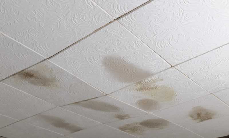 Diy Ceiling Tiles Replace Damaged Project Arrow Fastener - How To Replace Ceiling Tiles In Basement
