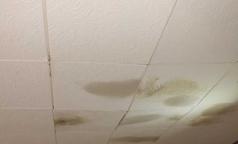 Replace Damaged Ceiling Tiles, How To Clean Water Stains On Ceiling Tiles