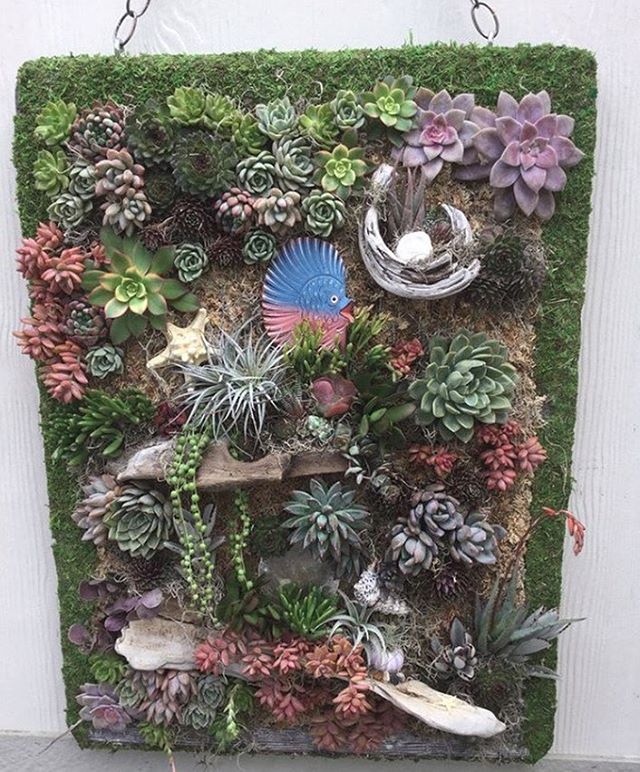 “I love my new staple gun!! I tried using a regular craft staple gun on a living succulent wall hardwood frame stapling chicken wire to the frame and I almost crippled my hand for only 2 tries. Got online found this!! It works so GREAT!! I do NOT have to use a hammer to pound the staples in!!”  and quote from @the_mermaid_garden || Are you ready to go cordless with the T50DCD? Click the link in our bio to discover the tool 98% of people recommend. .
.
.
.
.
.
.
.